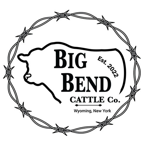Big Bend Cattle Co - Logo
